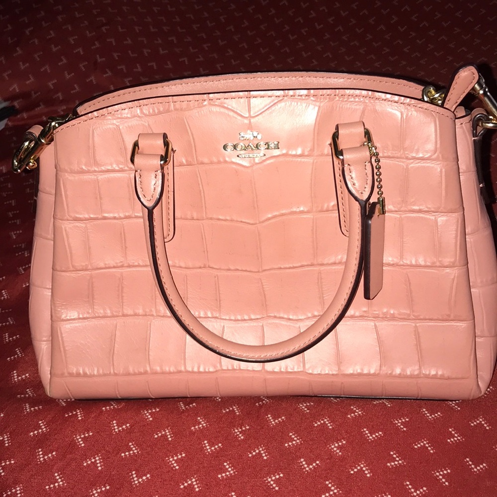 Coach Carryall Handbag